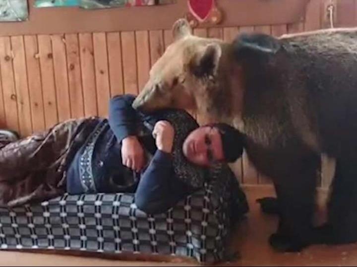 Chu gau biet gianh ghe sofa voi chu hinh anh