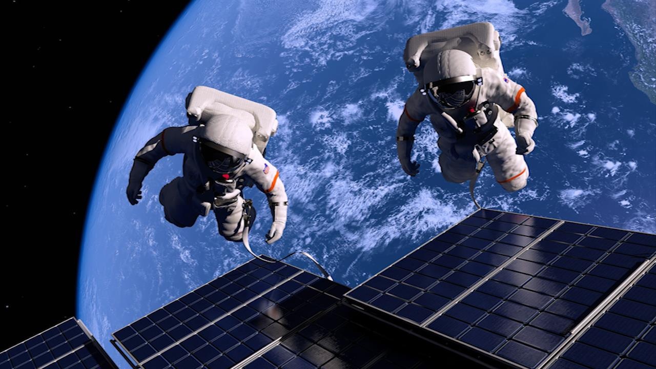 Trai Dat ban duoc bao nhieu tien? hinh anh