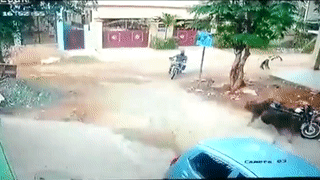 Bo chay dien cuong tren pho huc trung nguoi di xe may o An Do hinh anh