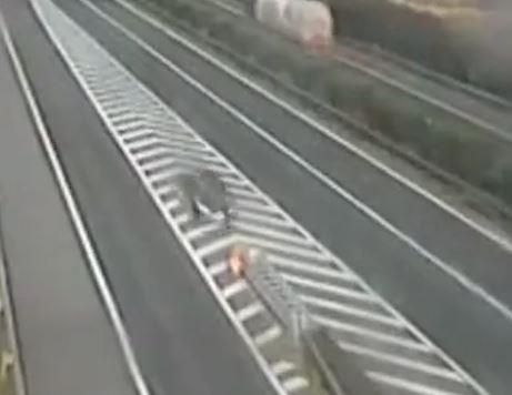 Oto 'vo nat dau' khi tong thang rao chan voi toc do cao hinh anh