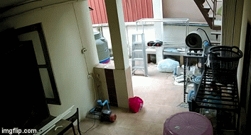 Ran doc roi tu tran nha xuong, chu nha vua di ngang qua hinh anh