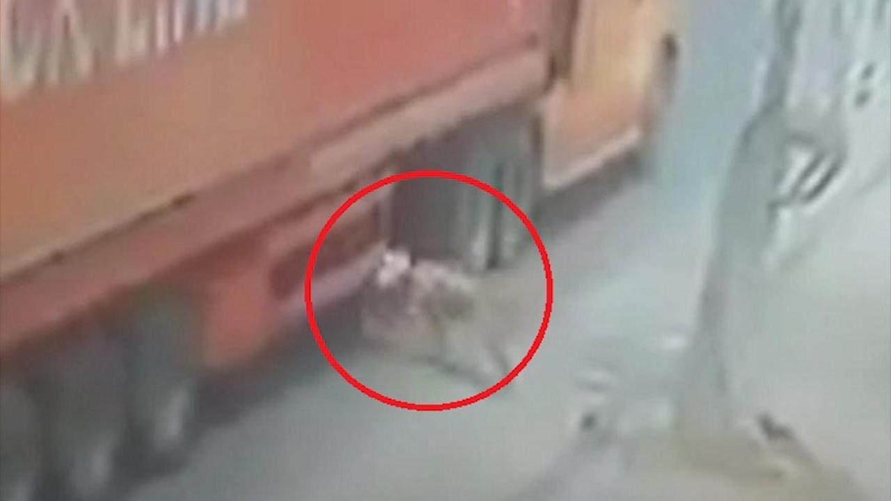 Lao vao banh xe container, nguoi di duong may man thoat chet hinh anh