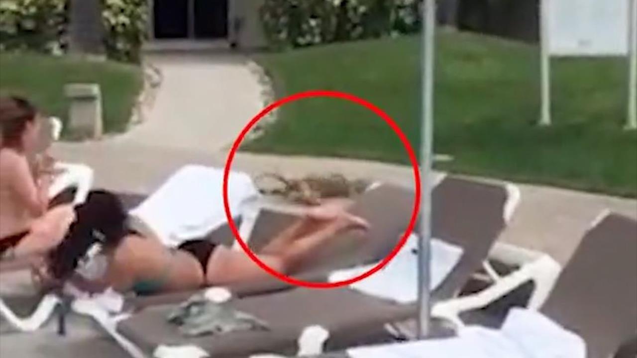 Cu da 'danh nhau' roi xuong ho boi khien du khach kinh hai hinh anh