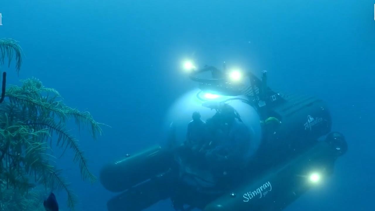 Kham pha ho sut lon nhat the gioi voi vo van sinh vat bi an hinh anh