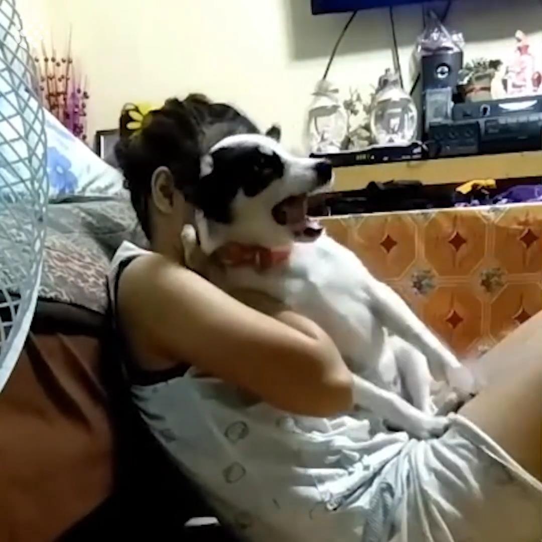 Cam dong nhung tinh huong cho trung thanh bao ve chu den cung hinh anh