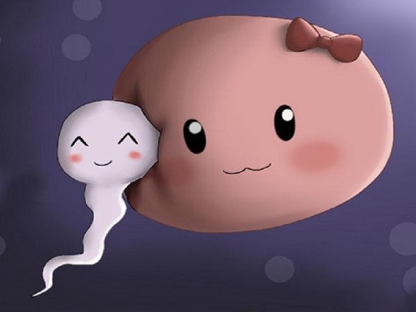 Chuyen gi xay ra sau khi trung gap tinh trung? hinh anh