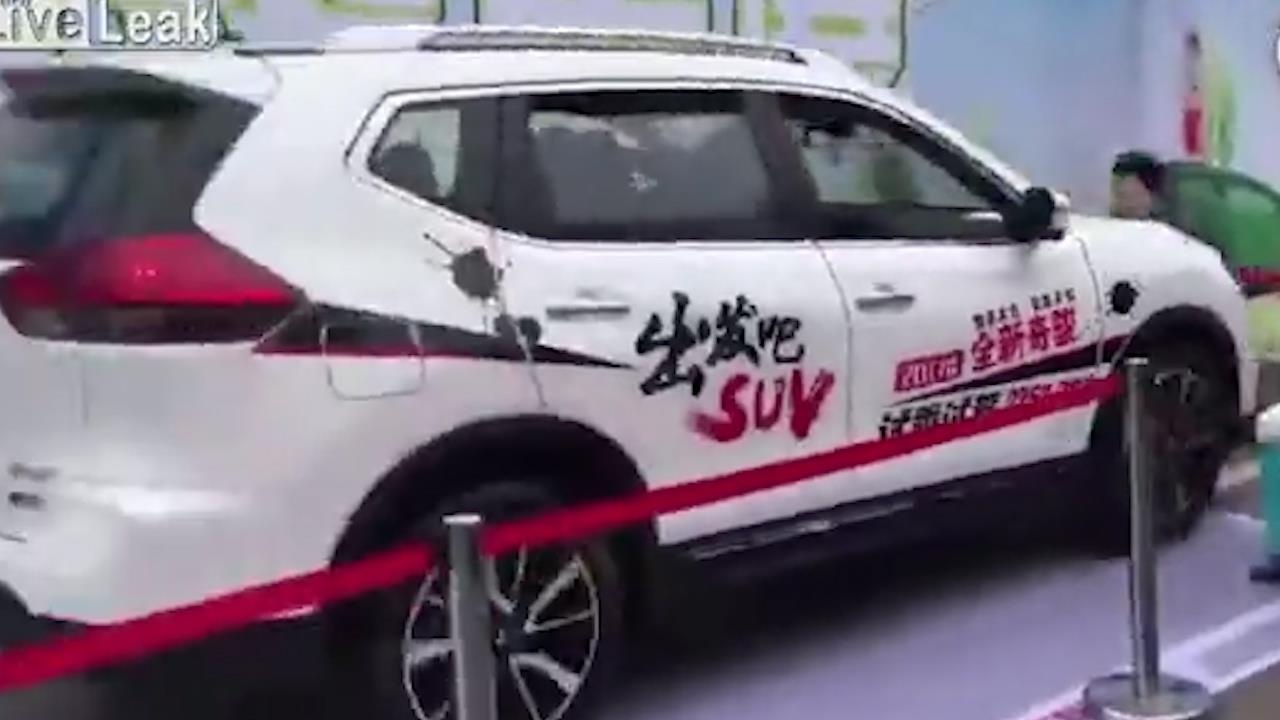 Nguoi dep bi tong khi dung thu che do an toan cua xe hoi hinh anh