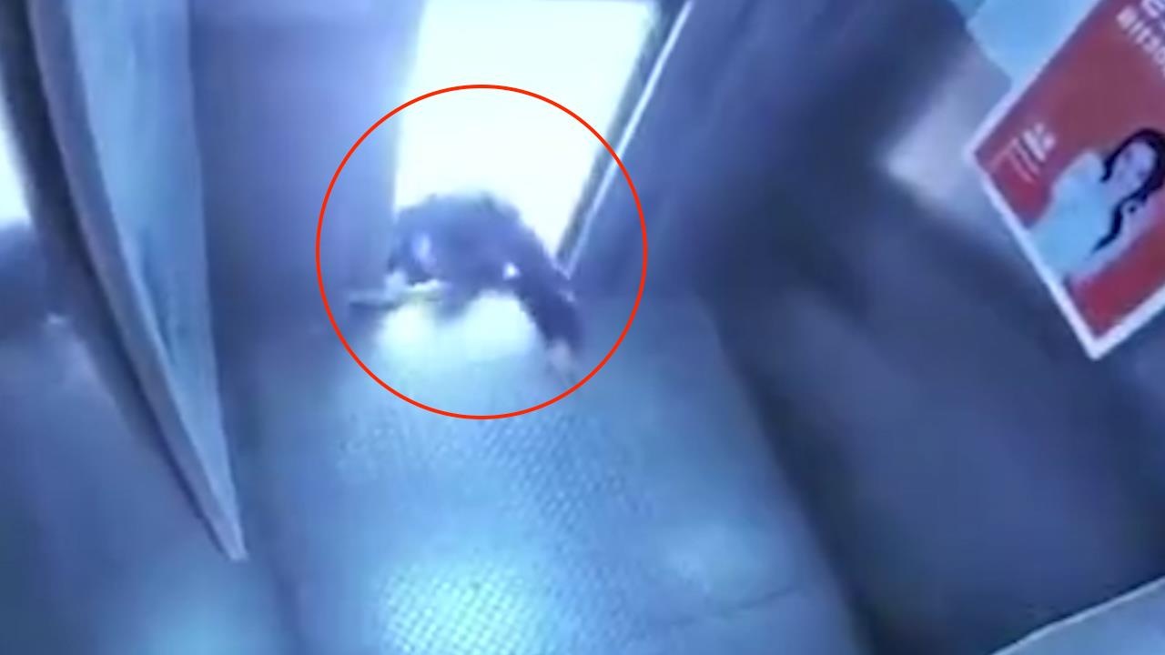 Thang may chua dung nhung da mo cua, nguoi dan ong may man thoat chet hinh anh