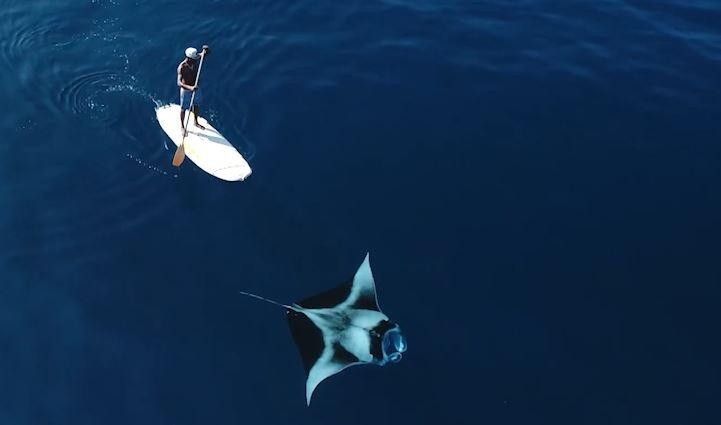 Cheo tren van luot song ben canh ca duoi khong lo o Maldives hinh anh