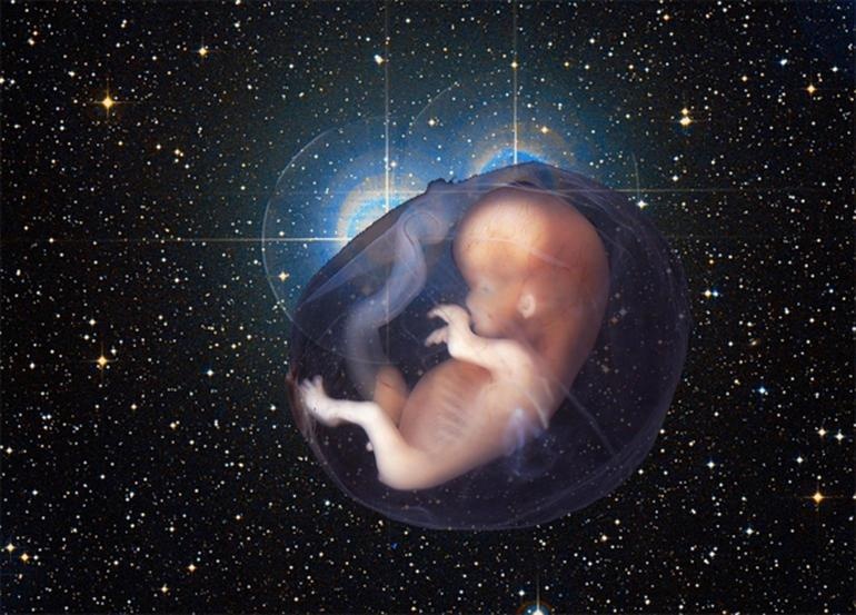 Con nguoi duoc sinh ra tai tram khong gian co hinh dang ra sao? hinh anh