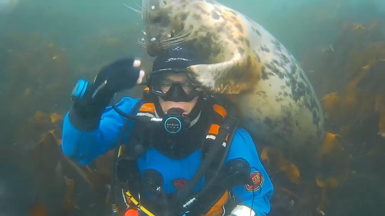 Khoanh khac dep khi hai cau choi dua voi tho lan o duoi nuoc hinh anh