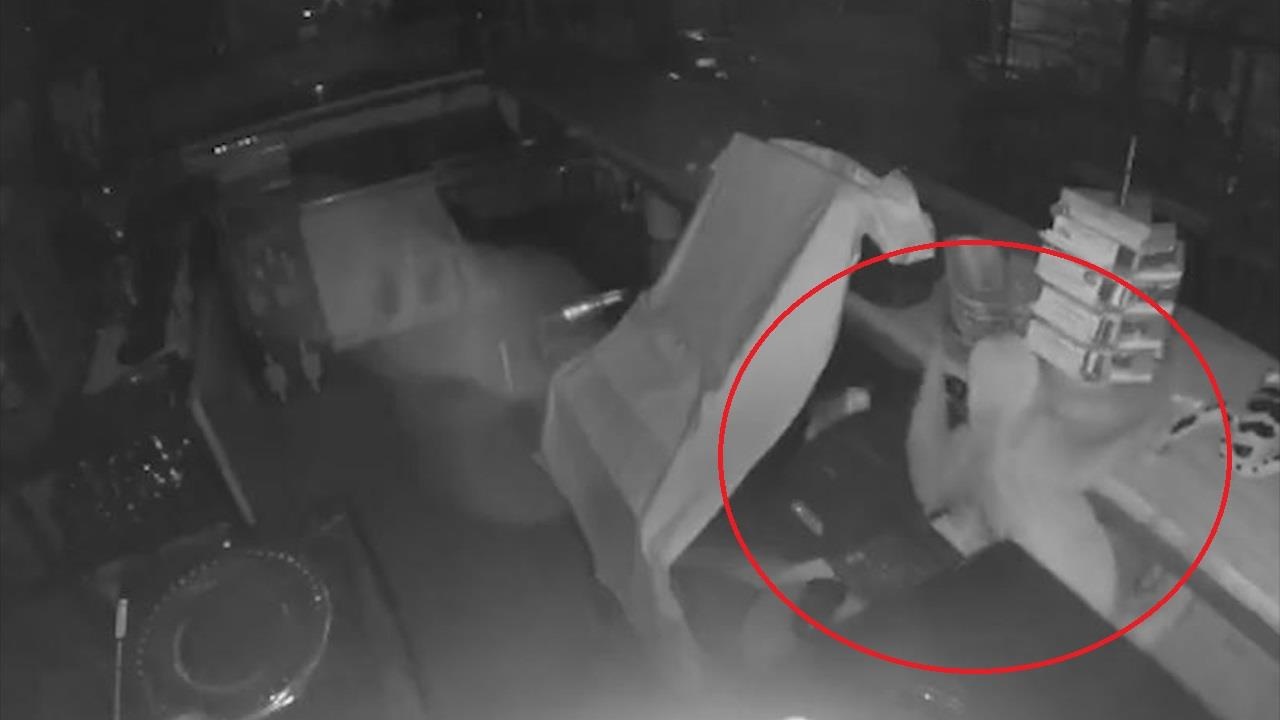 Con luoi biet len vao quan de trom thuc an hinh anh