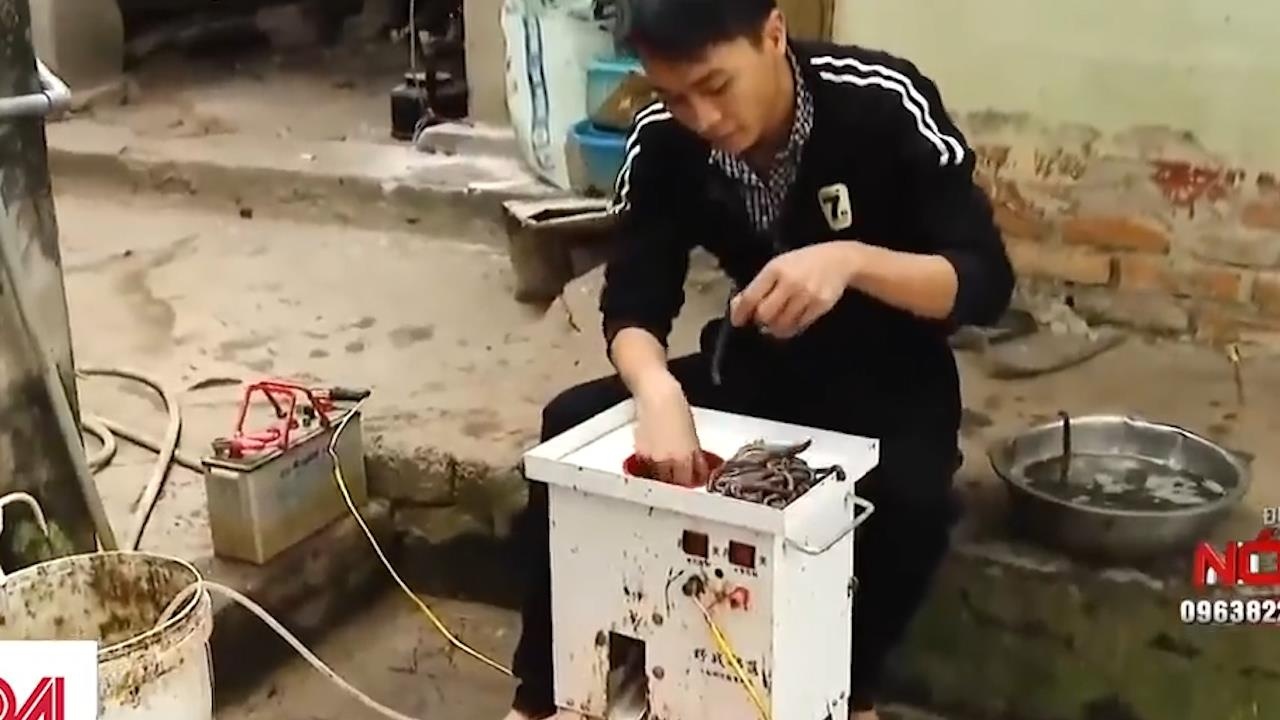 Thuong lai nuoc ngoai du do nguoi dan dung may kich de bat giun dat hinh anh