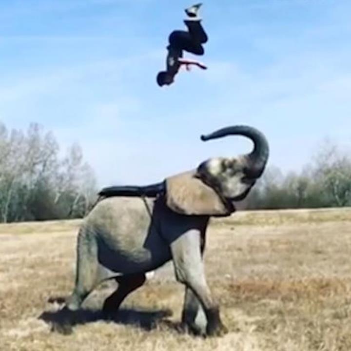 Man bieu dien nang nguoi cung chu voi hinh anh