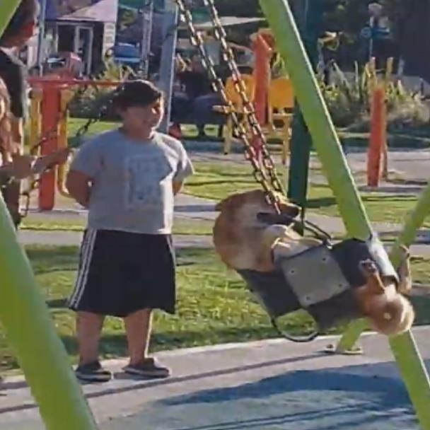 Khoanh khac chu cho vui ve choi xich du nhu bao dua tre khac hinh anh