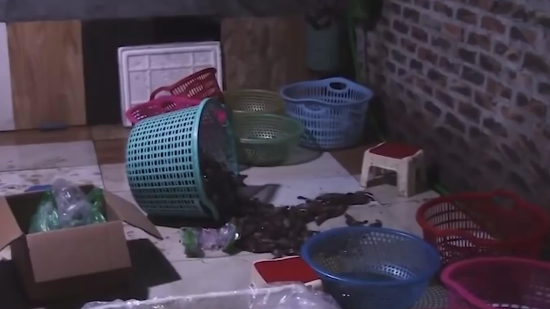 Lai phat hien co so bom tap chat vao tom o Ha Noi hinh anh