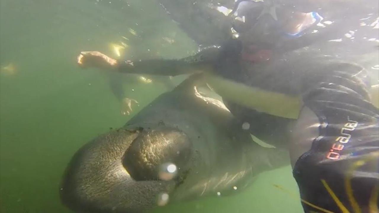 Lon bien om ap nu tho lan boi canh minh hinh anh