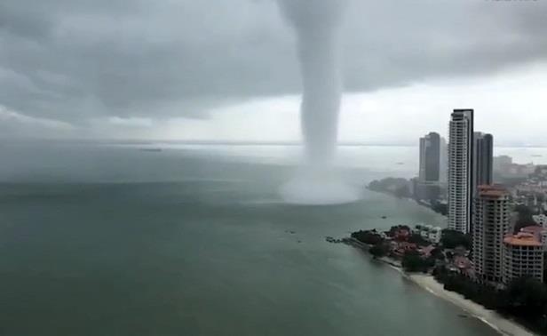 Voi rong khong lo tien thang vao thanh pho o Malaysia hinh anh