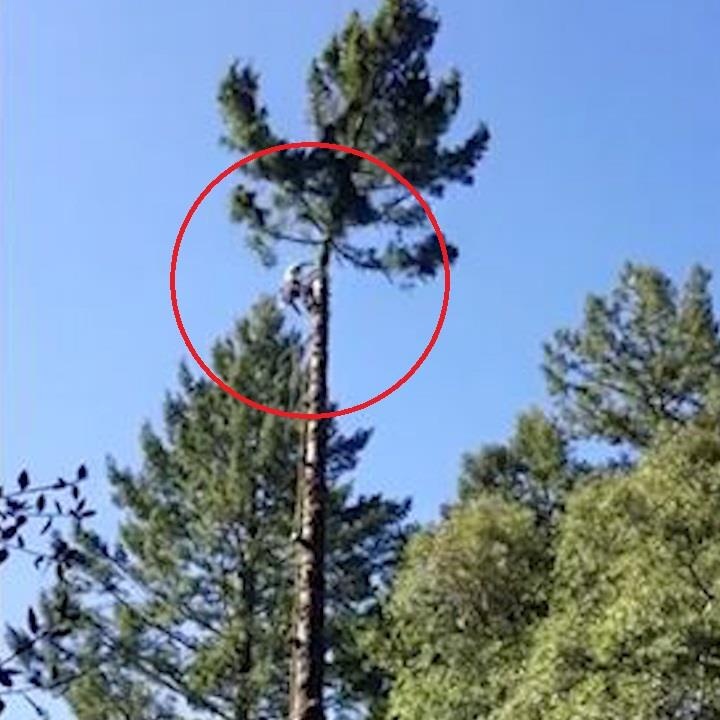 Tho chat cay thoat chet than ky sau khi lo lung o do cao 30 m hinh anh