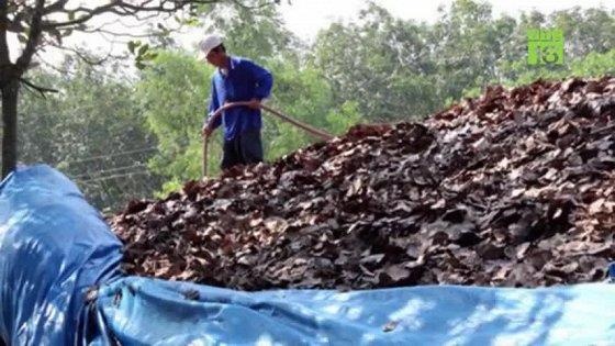 Thuong lai Trung Quoc o at thu mua nong san la doi hinh anh