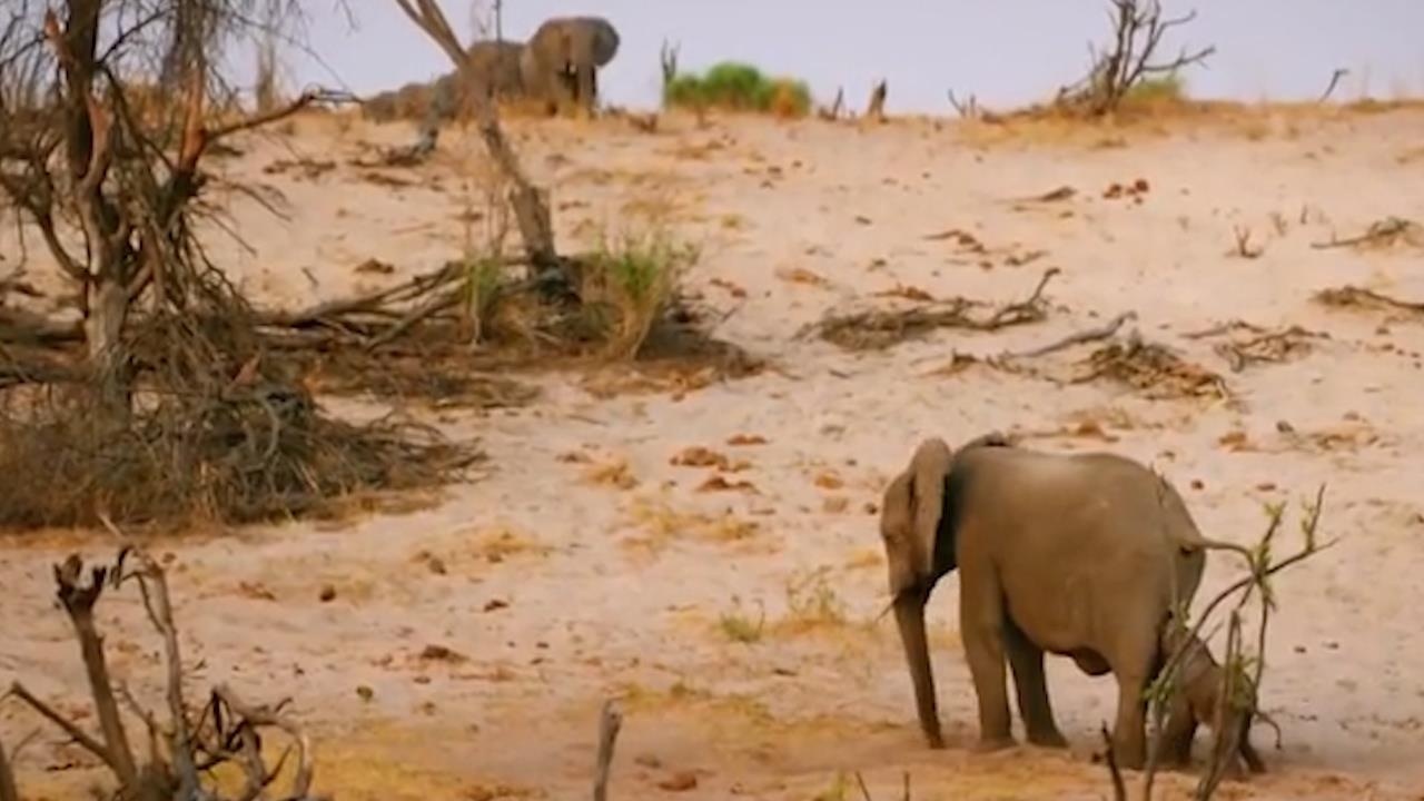 Bi su tu bao vay, me con nha voi duoc ca dan den cuu hinh anh