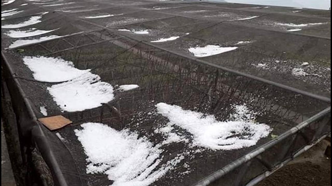 Mua da kem gio loc o khu vuc mien nui Nghe An hinh anh