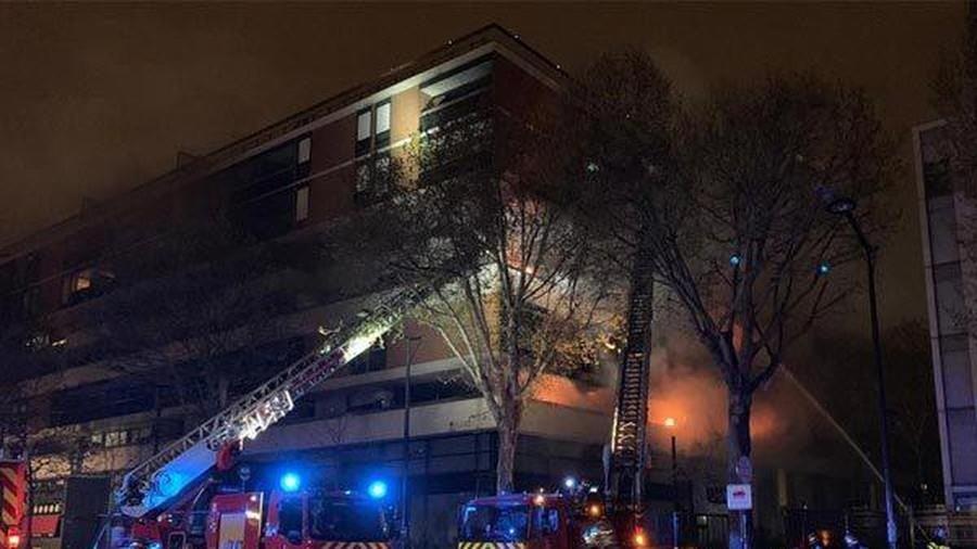 No lon o Paris, ca toa nha chim trong bien lua hinh anh