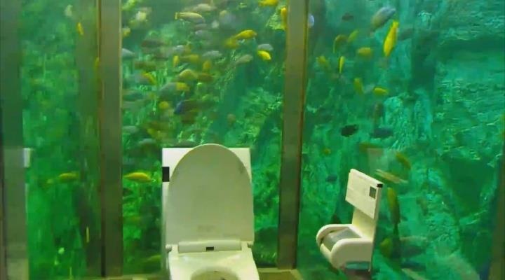 Nha ve sinh 270.000 USD duoc thiet ke nhu thuy cung hinh anh