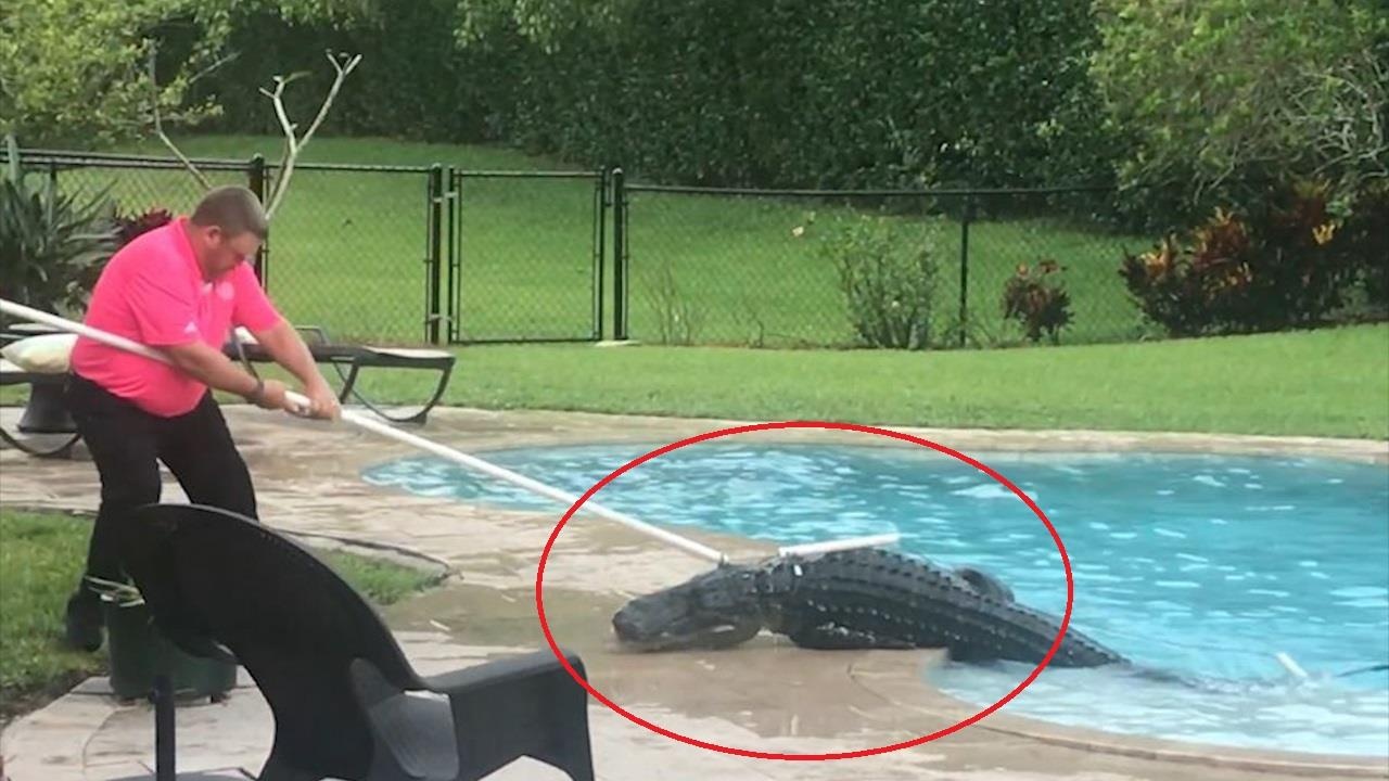 Nhan vien loi dau ca sau khoi be boi o My hinh anh