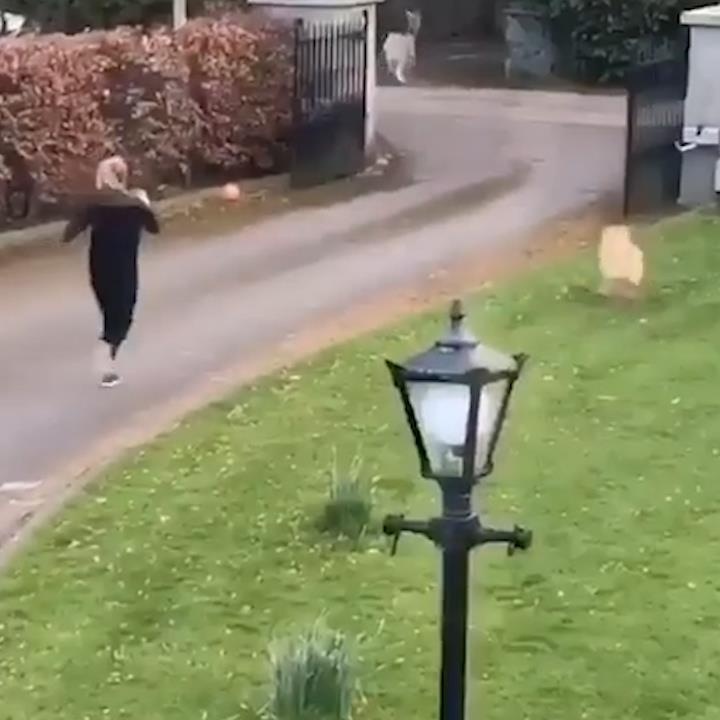 Co gai bi de me doa nat khi duoi theo de con chup anh hinh anh