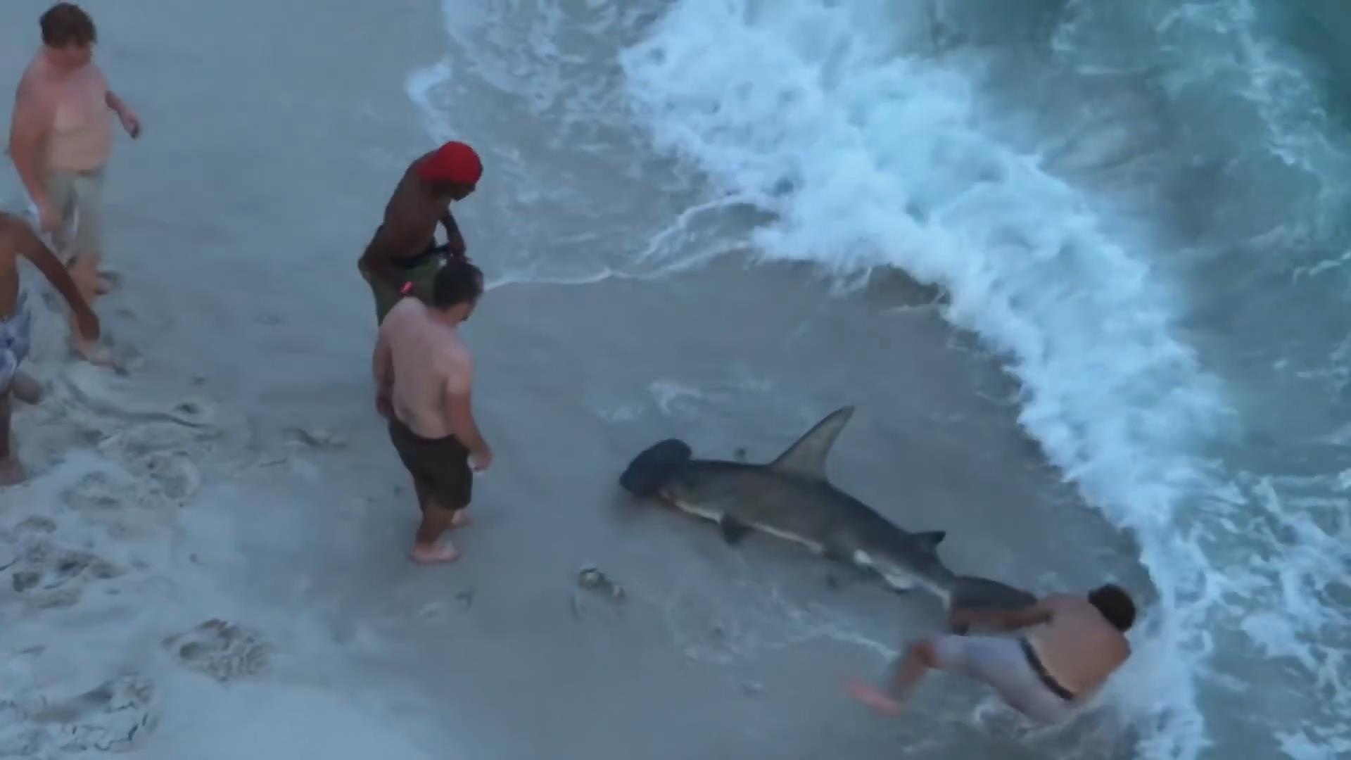 Vat lon thao luoi cau khoi mieng ca map dau bua khong lo dat vao bo hinh anh