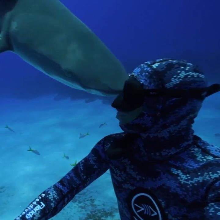 Tho lan bi ca map dung dau huc manh vao mat hinh anh