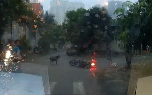 Bi cho duoi, tai xe xe may te giua duong hinh anh