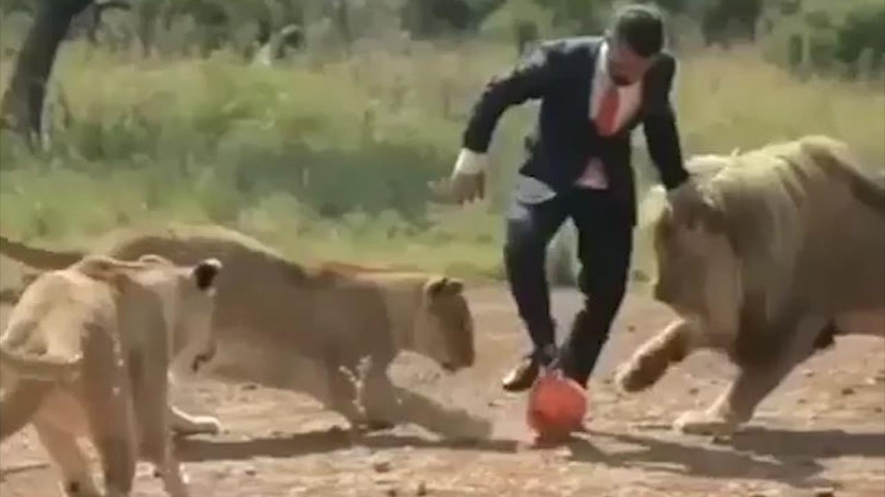 Nguoi huan luyen mao hiem choi da bong cung su tu hinh anh