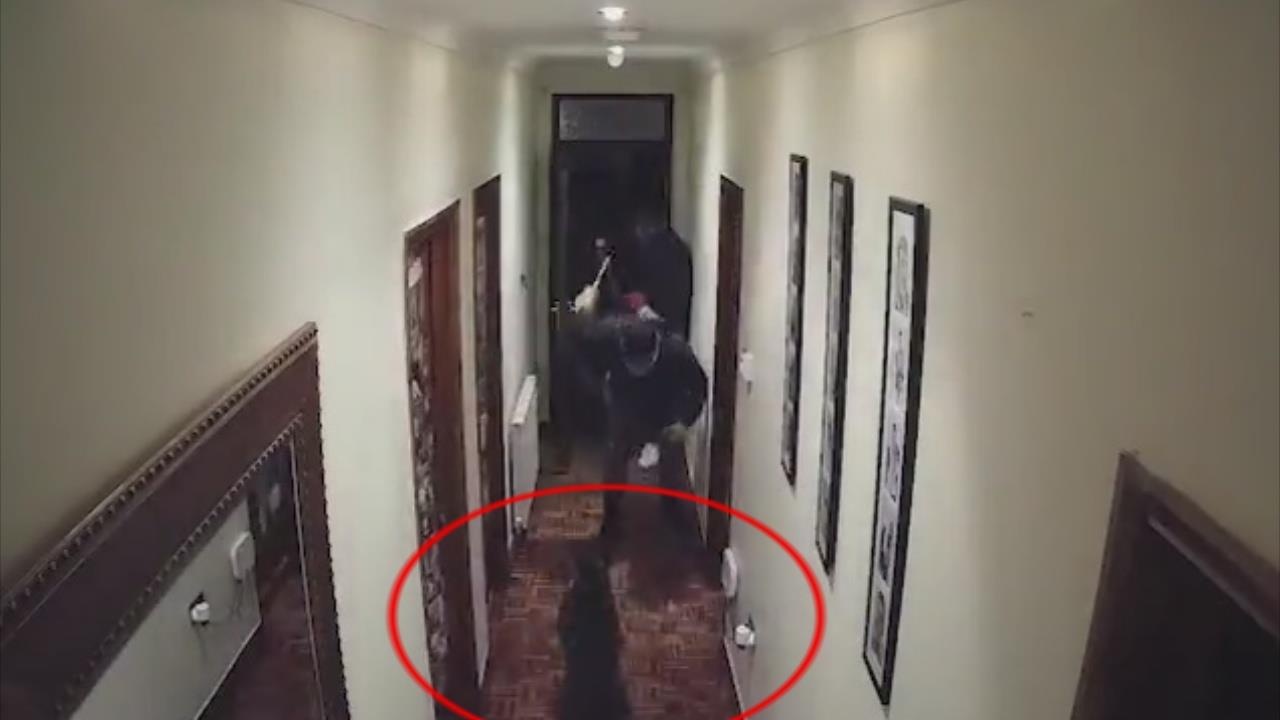 Chu cho dung cam duoi 4 ten trom dot nhap vao nha hinh anh