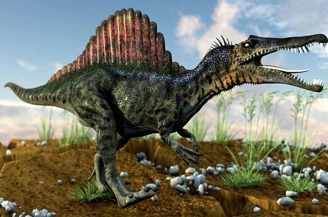 Nhung bi an chua duoc giai ma ve khung long hinh anh