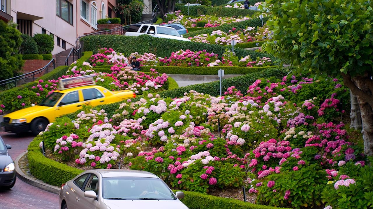 Con duong zich zac noi tieng nhat San Francisco tinh chuyen thu phi hinh anh