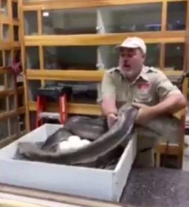 Tran cai hung du can nhan vien so thu, bao ve o trung vua de hinh anh