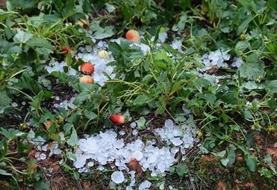 Vi sao Sai Gon nong nuc nhung Da Lat lai co mua da? hinh anh