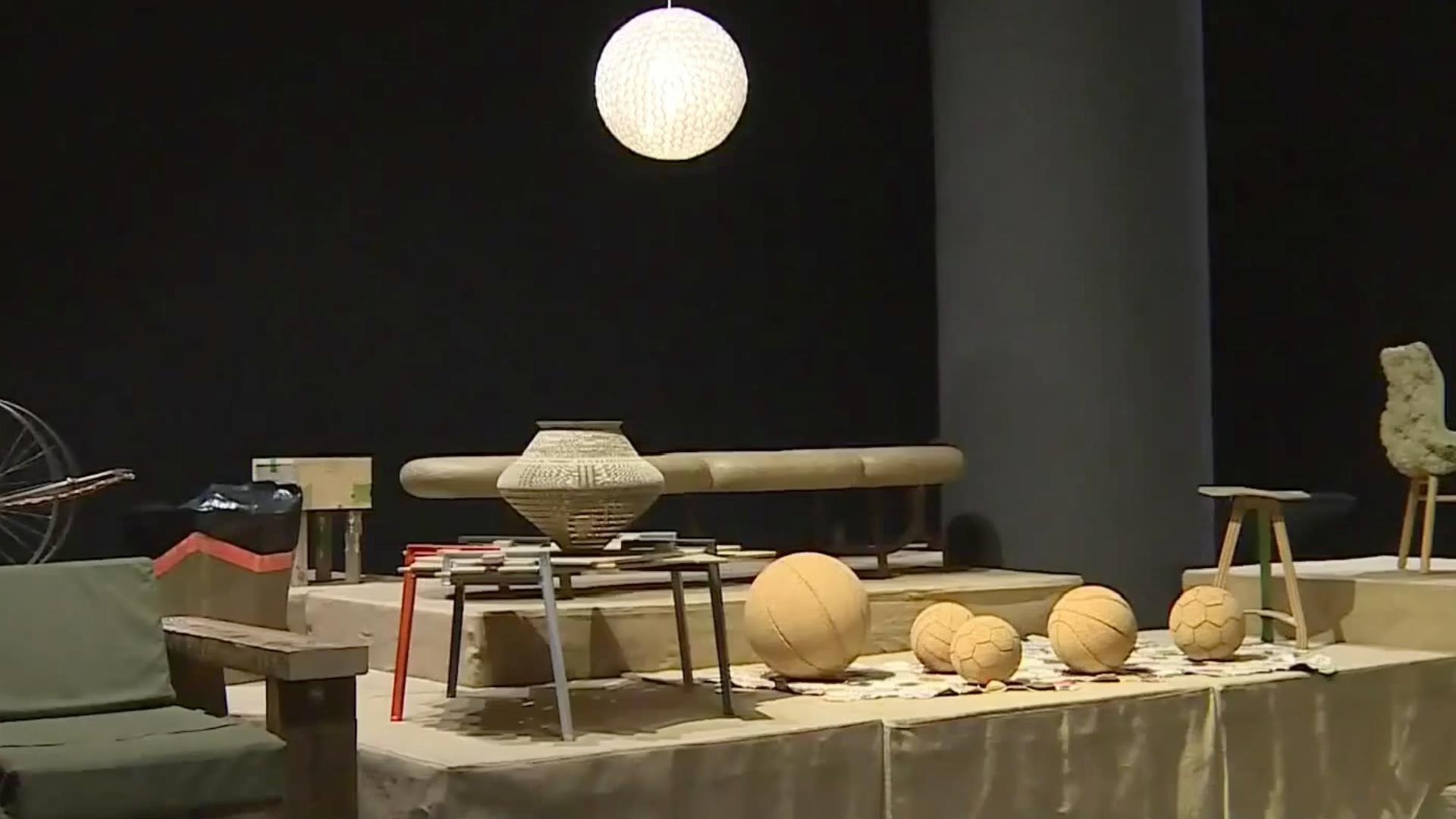 Cuoc choi bien rac thanh vang hinh anh