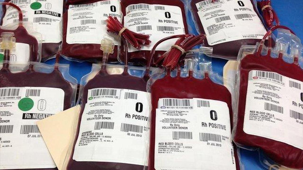 Nhom mau 'quy nhu vang', ca the gioi chi 43 nguoi co hinh anh