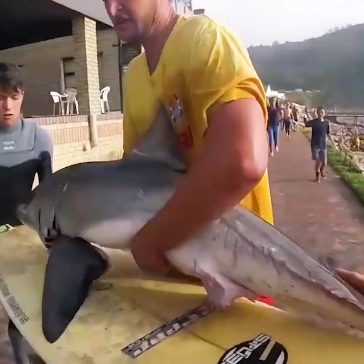 Ca map con may man duoc doi cuu ho dua ra khoi nhung con song du hinh anh