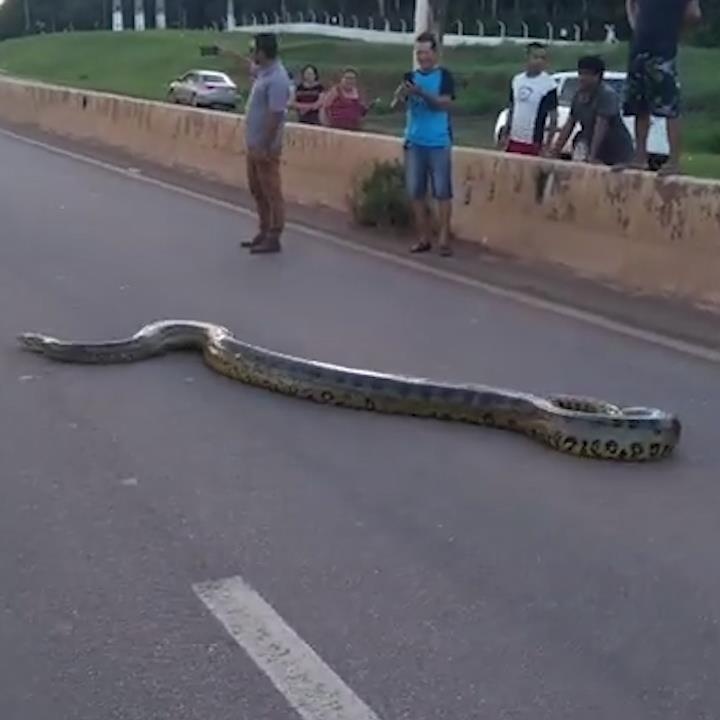 Ket xe tren cao toc vi tran khong lo bo qua duong hinh anh