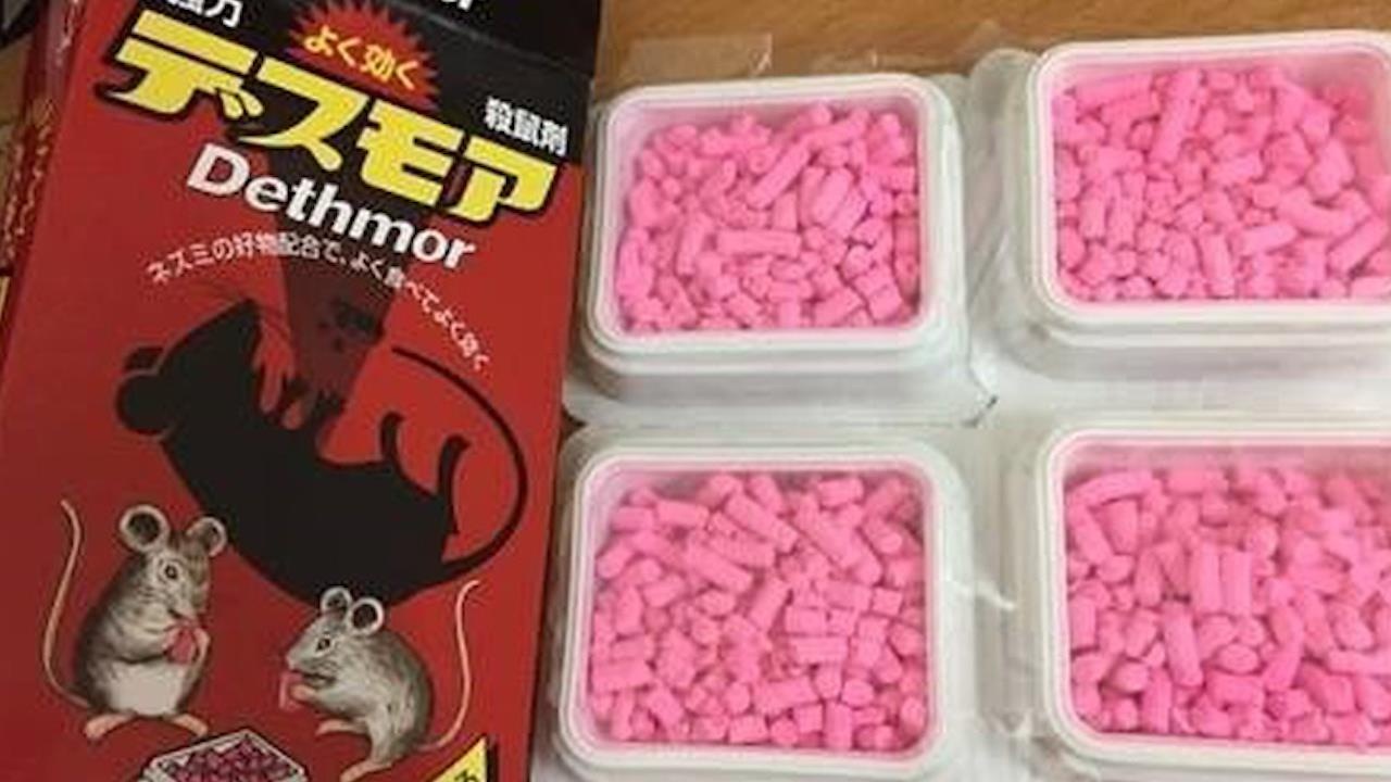 An nham thuoc diet chuot vi trong giong keo hinh anh