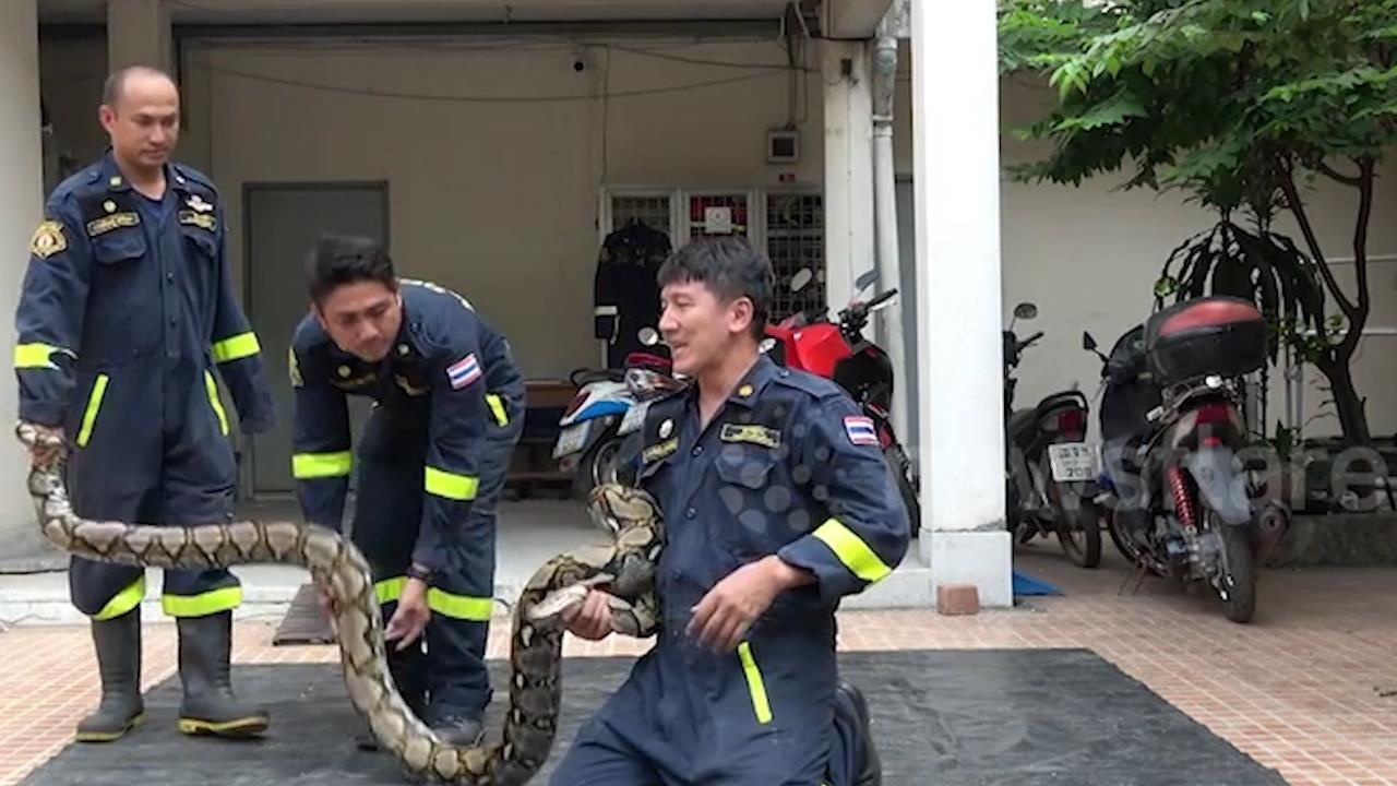 Lam gi khi bi tran siet co? hinh anh