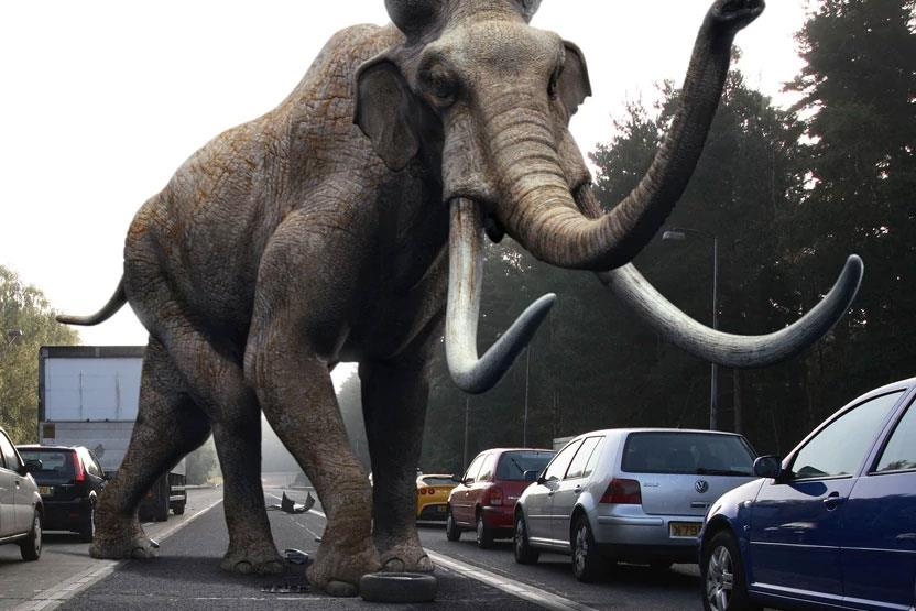 Hoi sinh voi ma mut va hiem hoa voi the gioi hien dai hinh anh