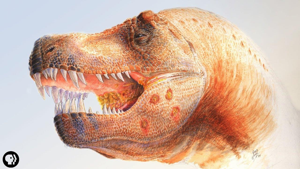 Loai ky sinh trung dang so tung hanh ha khung long T-Rex hinh anh