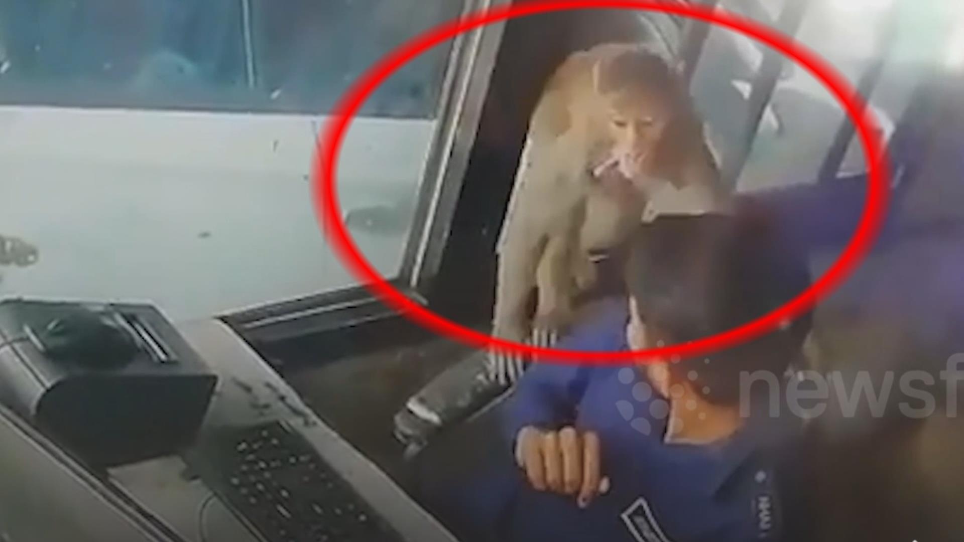 Khi dot nhap vao tram thu phi trom 1,6 trieu dong hinh anh