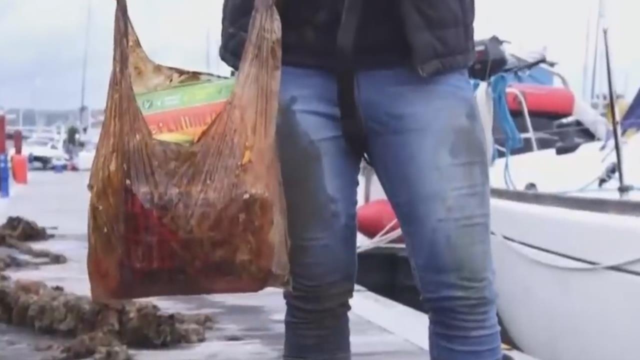 Tui tu huy sinh hoc co thuc su tu huy nhu quang cao? hinh anh