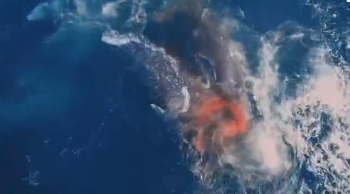 Cuoc chien giua dan ca voi sat thu va me con ca voi xam hinh anh